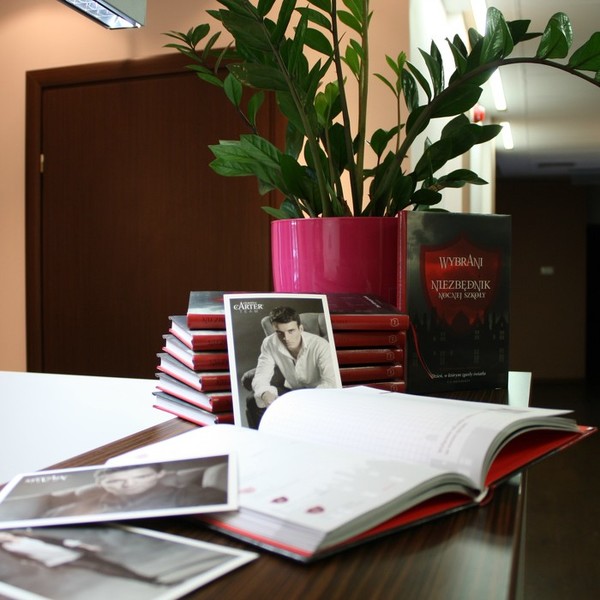 Wybierz tytuł piątej części sagi „Wybrani”!