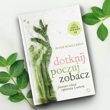 „Dotknij, poczuj, zobacz” – czy las dla wszystkich jest taki sam? 