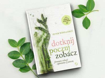 „Dotknij, poczuj, zobacz” – czy las dla wszystkich jest taki sam? 