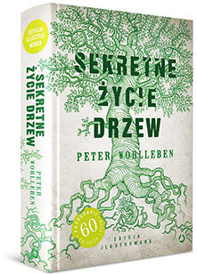 Sekretne życie drzew