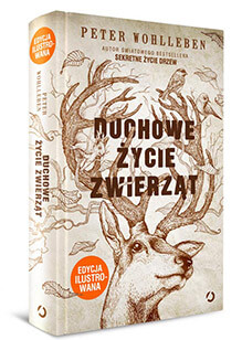 Duchowe życie zwierząt